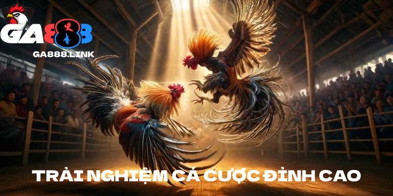 Trải nghiệm cá cược đỉnh cao với các sản phẩm hấp dẫn tại GA888