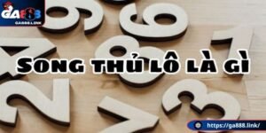 Tìm hiểu song thủ lô